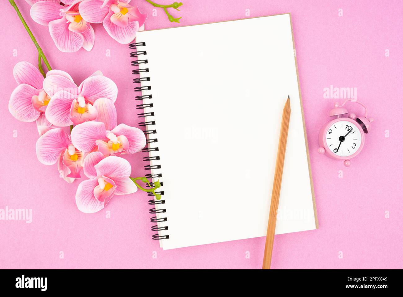 Blank open notebook and clock with pink color orchid for your text or ...