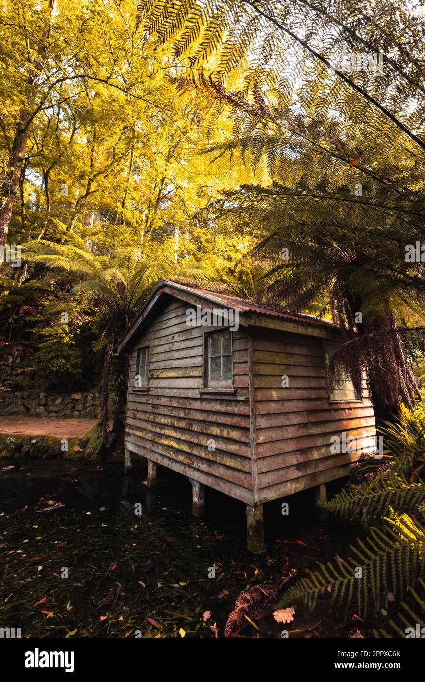Alfred Nicholas Memorial Gardens in Australia Stock Photo Alamy