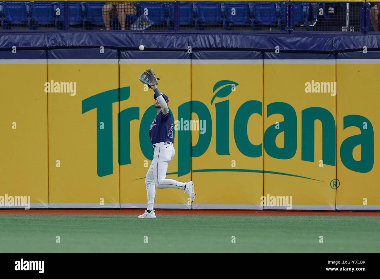 USA, Florida, Saint Petersburg, Tropicana Field (Baseball Stadium), Tampa  Bay Rays Stock Photo - Alamy