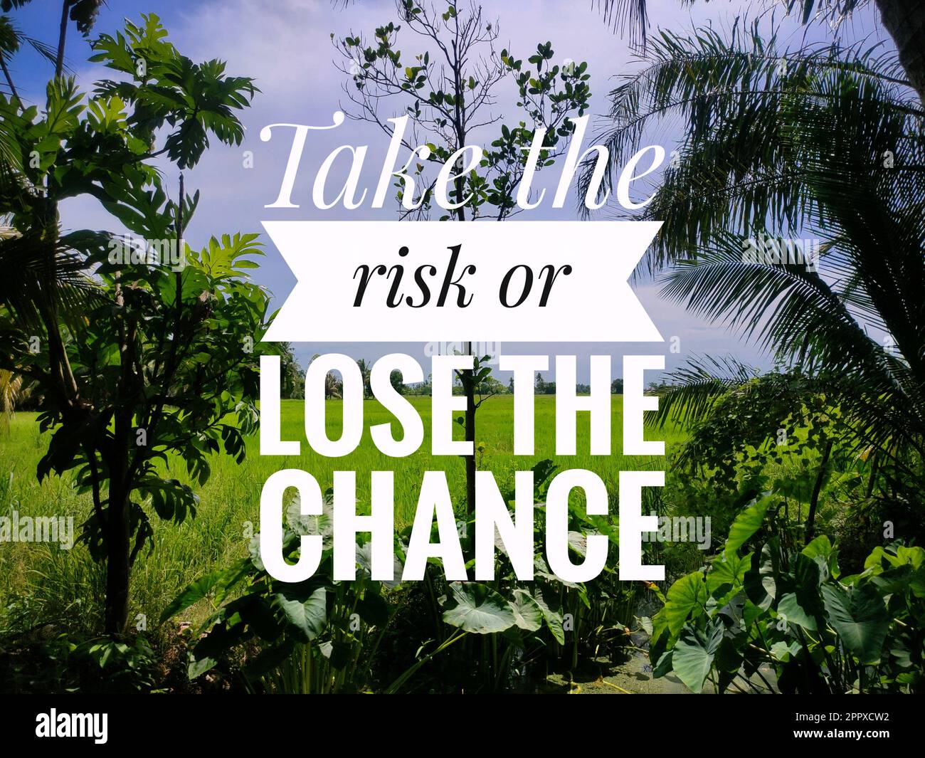 Motivational and qoute with the word Take the risk or lose the chance. Stock Photo