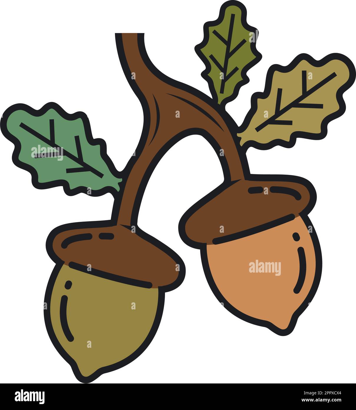 oak acorn element vector illustration concept design Stock Vector Image ...