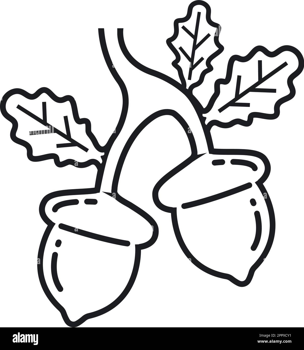 black line oak acorn icon vector illustration design Stock Vector Image ...