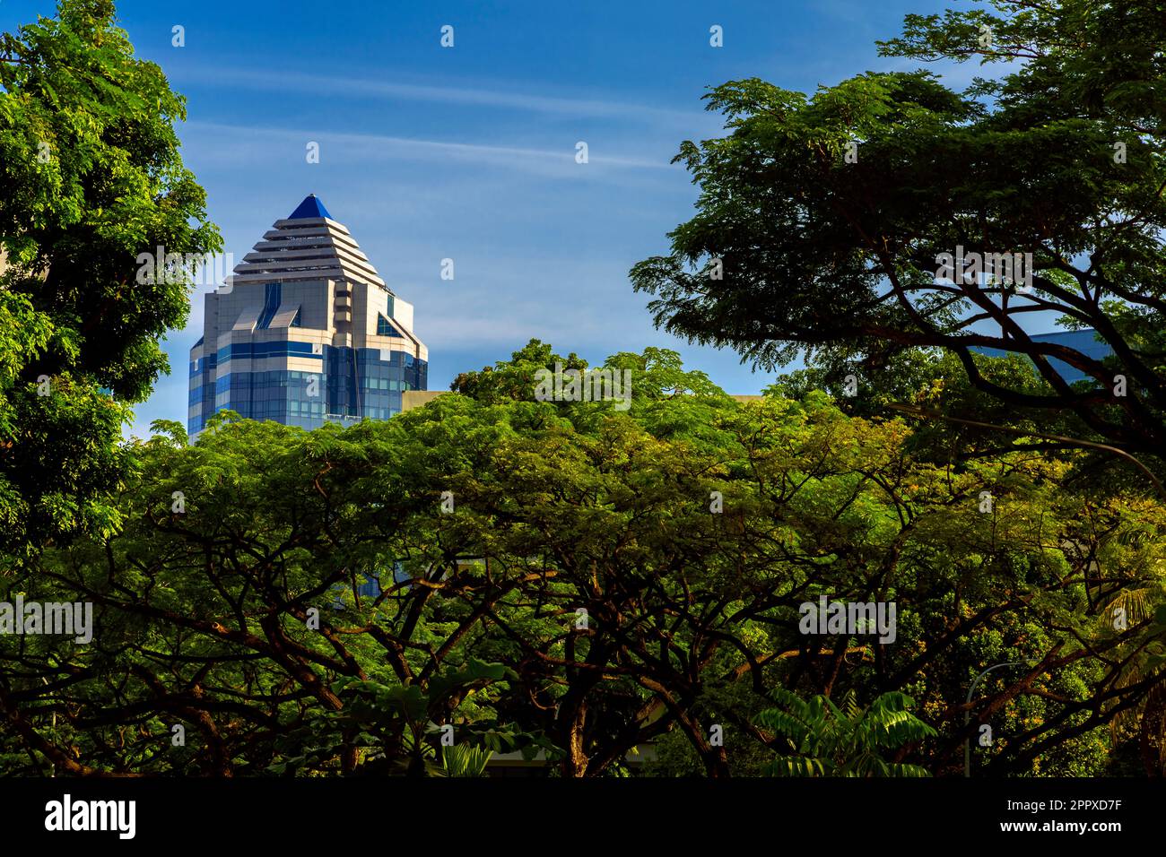 Singapore cityscape. Skyscraper rises above treetops. Stock Photo