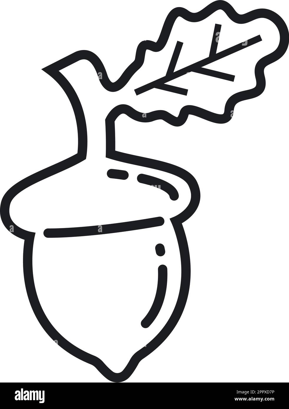 oak acorn line vector illustration concept design Stock Vector Image ...