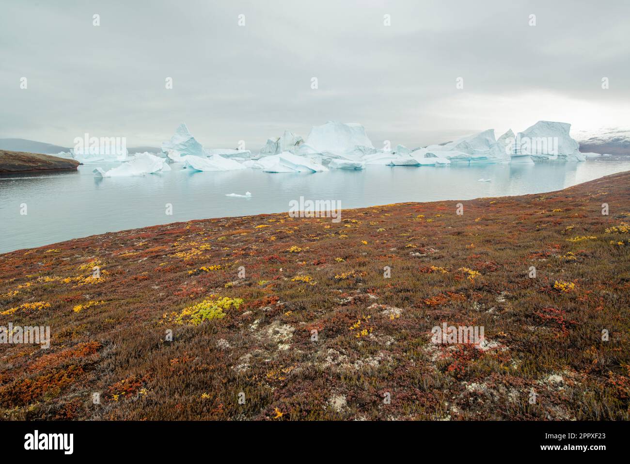 Largest tsunami greenland