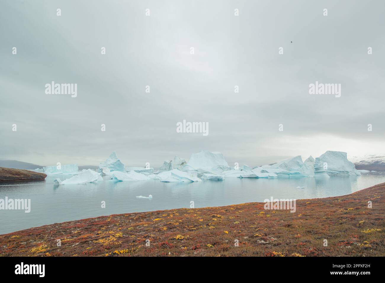 Largest tsunami greenland