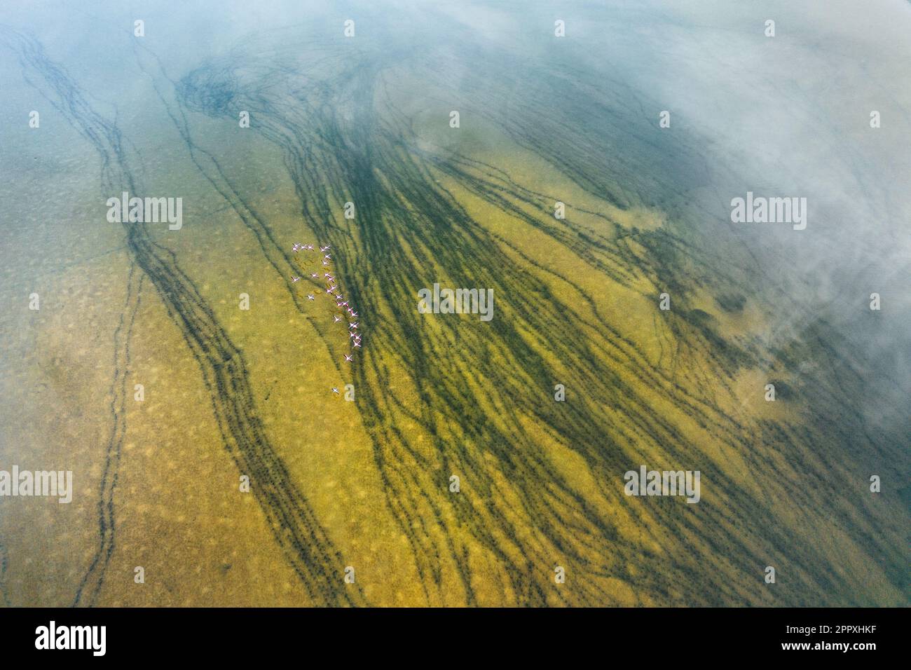 Aerial view of green salty lagoon with dark of flows in wetland of La Mancha in Spain covered with haze Stock Photo
