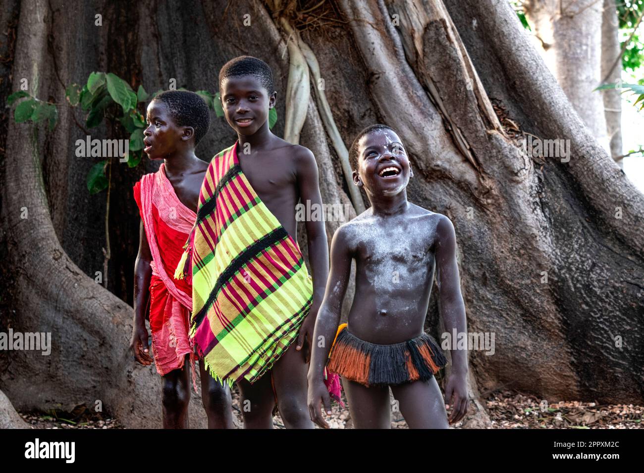Group of happy African boys in traditional clothes of local tribe standing near big tropical tree in forest Stock Photo