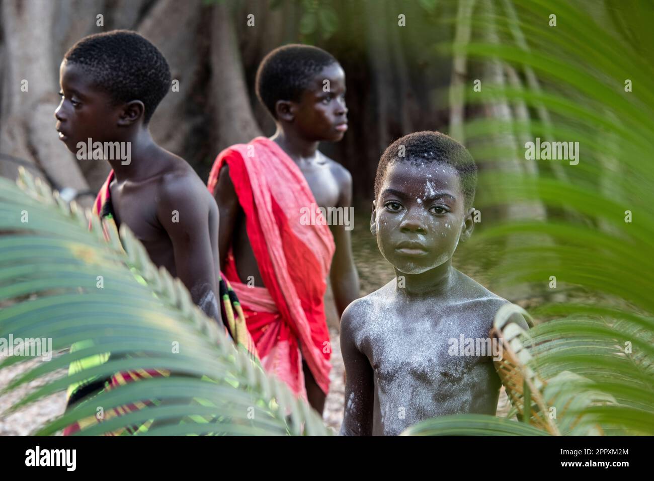 Little African boy in traditional body paint of local tribe standing with friends near big tropical tree leafs in forest Stock Photo