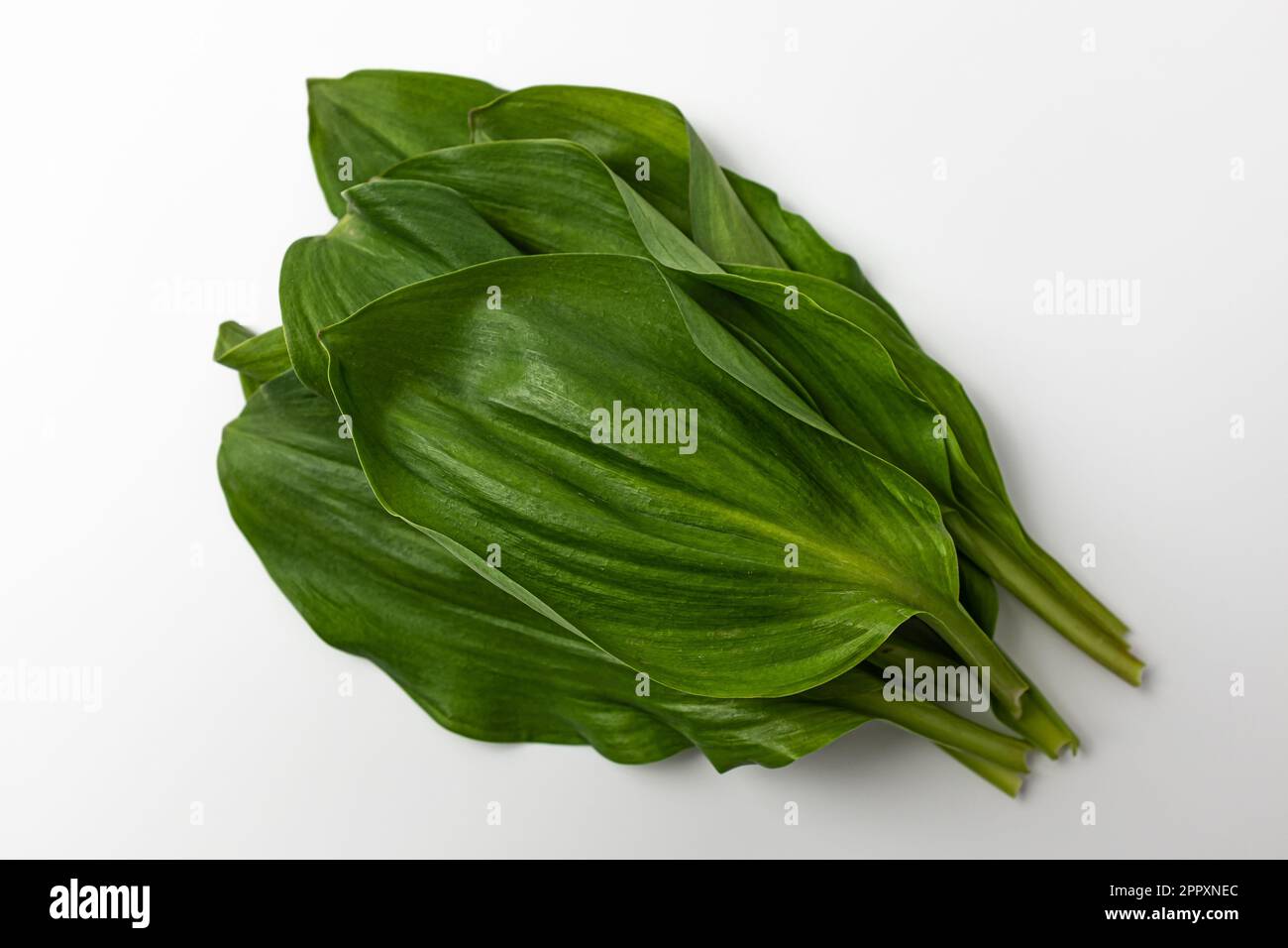 East Asian food culture. Thin, elongated, edible leaves. Edible plants with good chewing texture Stock Photo