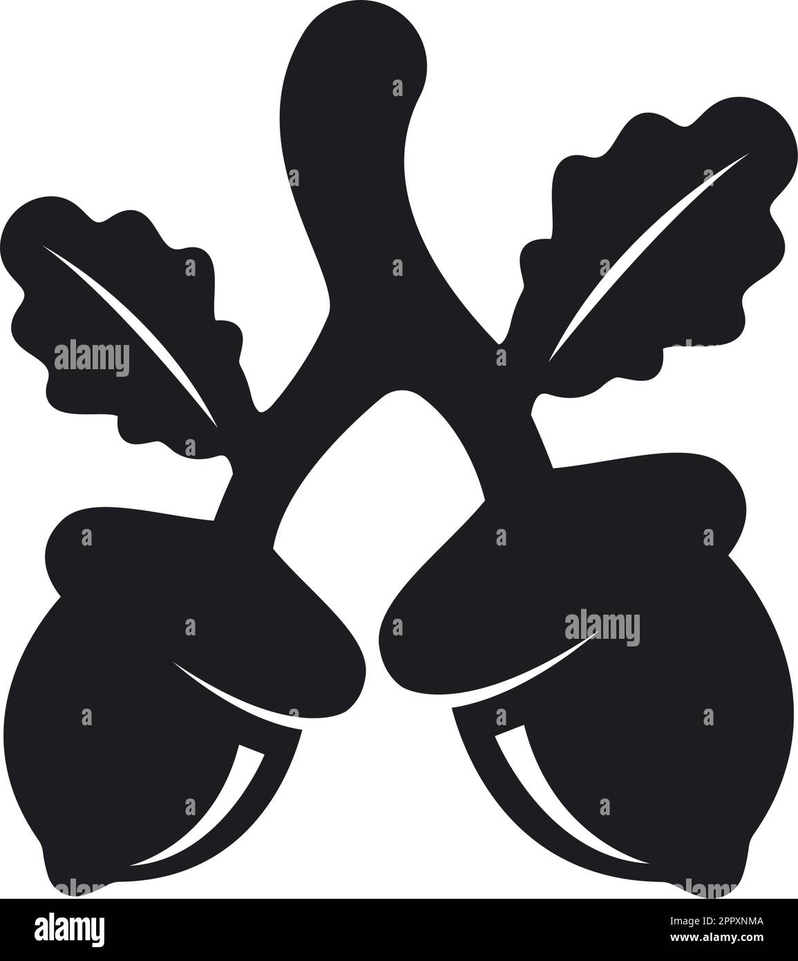 black oak acorn element vector illustration concept design Stock Vector ...