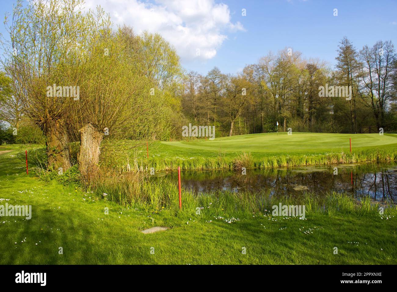 Lower German Lower basket hi-res stock photography and images - Alamy