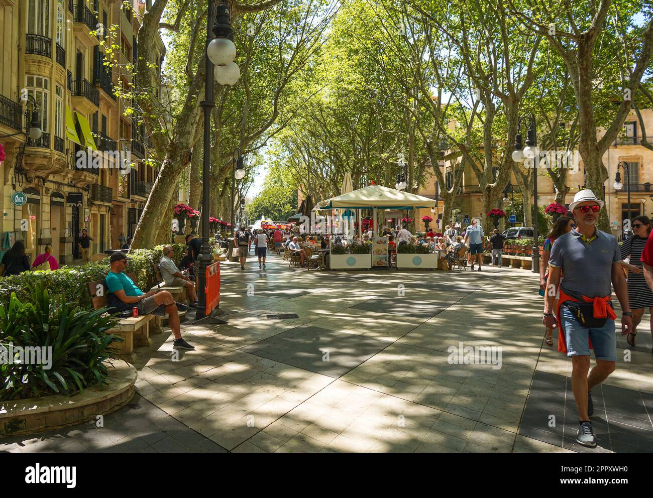 Passeig des Born, pedestrian boulevard, Palma de Mallorca, Mallorca, Majorca, Balearic Islands, Spain. Stock Photo