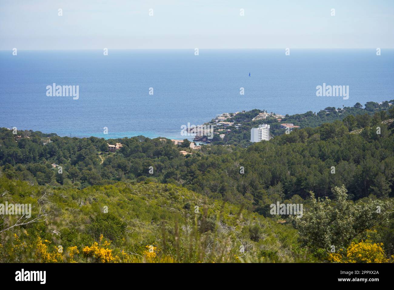 font de sa cala mallorca