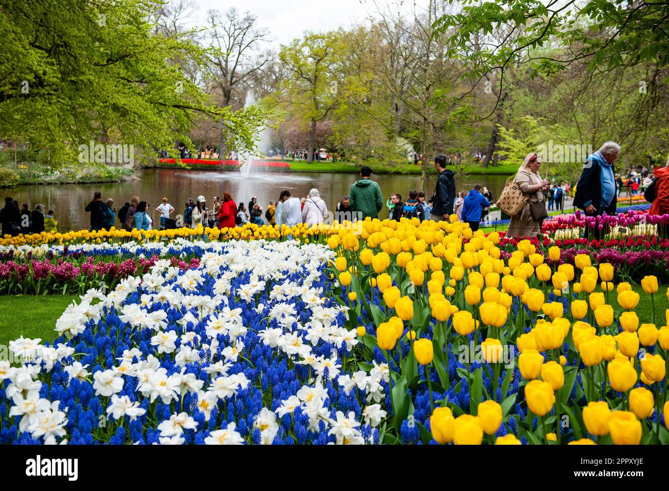 Dutch Floriculture Visitors are seen walking along the garden. Keukenhof is also known as ...