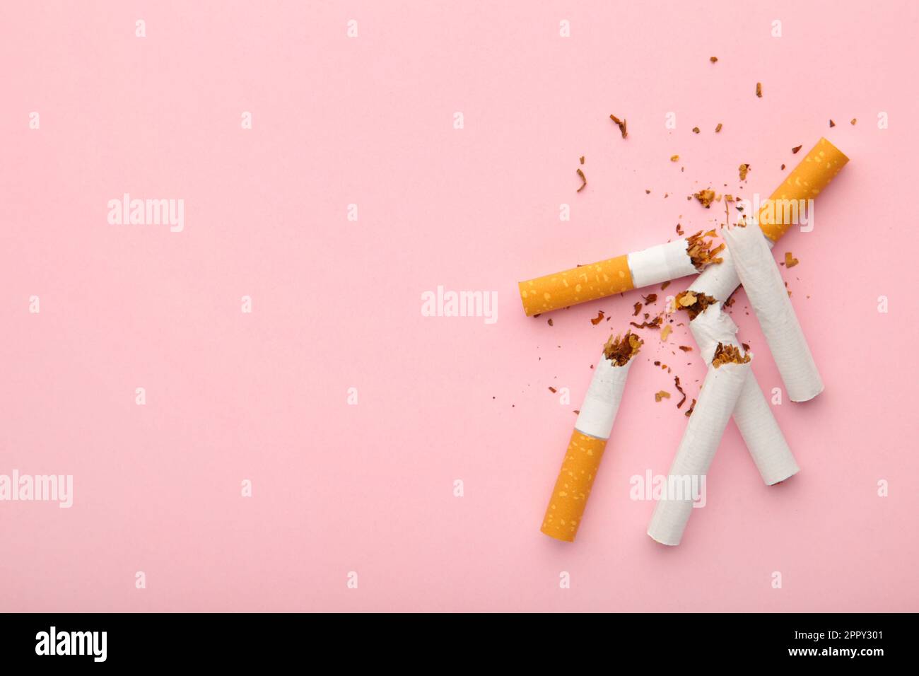 Broken cigarettes on pink background with copy space. Top view Stock Photo 