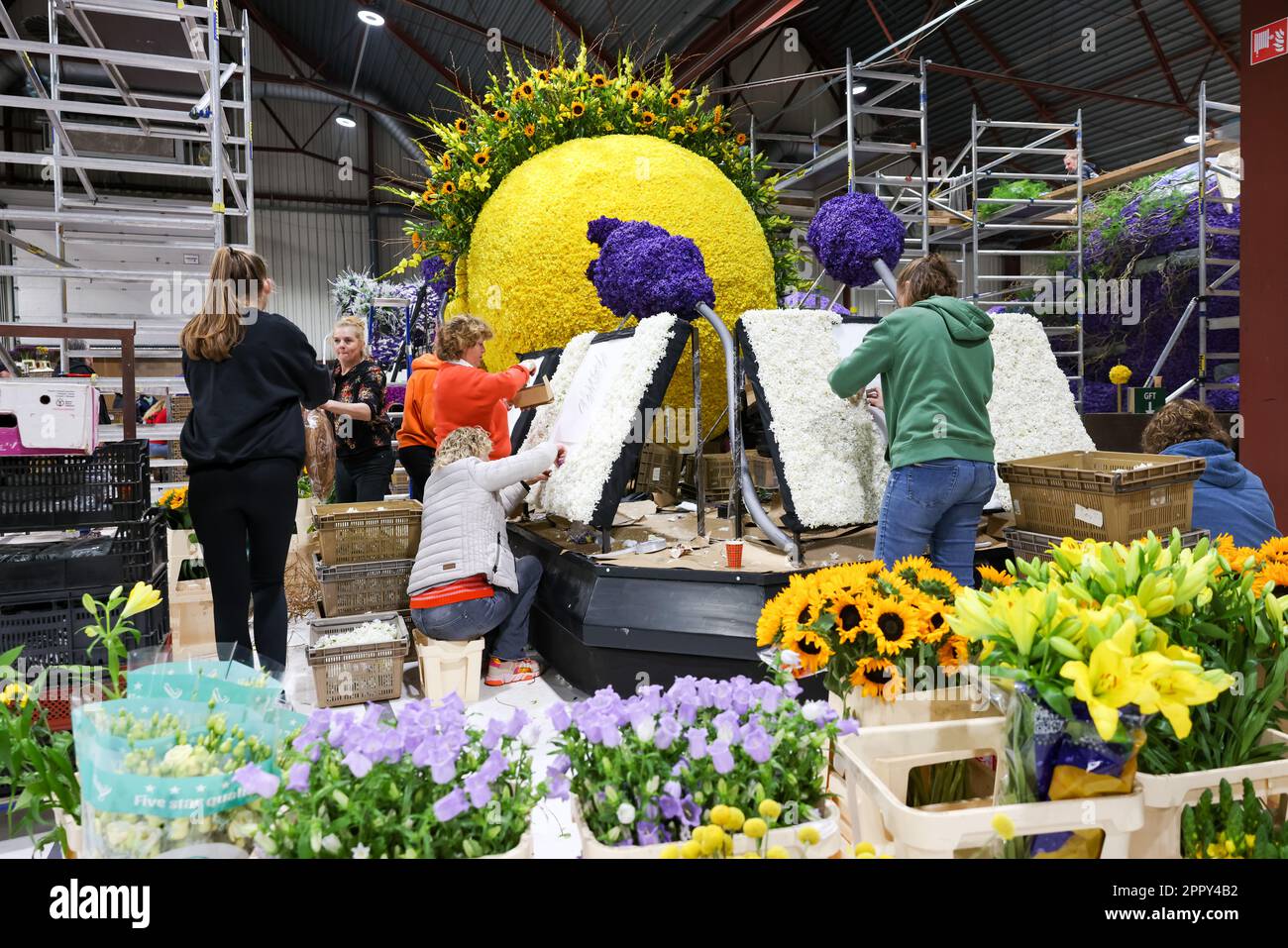 Sassenheim, THE NETHERLANDS - April 20, 2023: Preparing the colourful floats and luxury cars for the dutch bloemencorso flower parade in De Klinkenber Stock Photo