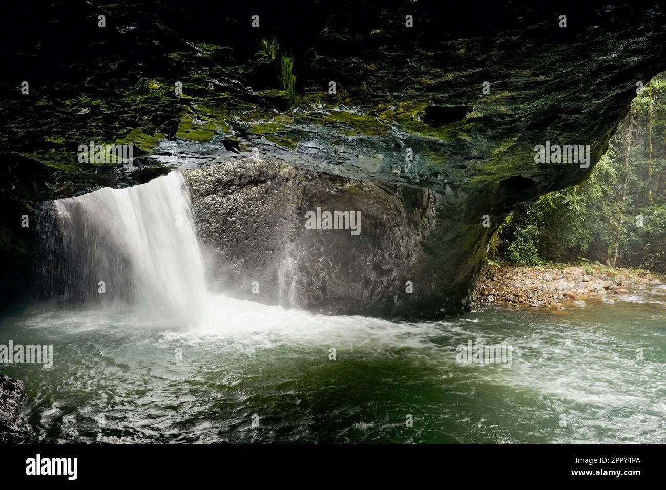 Water falling through rocks into pool at the Natural Bridge in Gondwana Rainforest - Australia Stock Photo