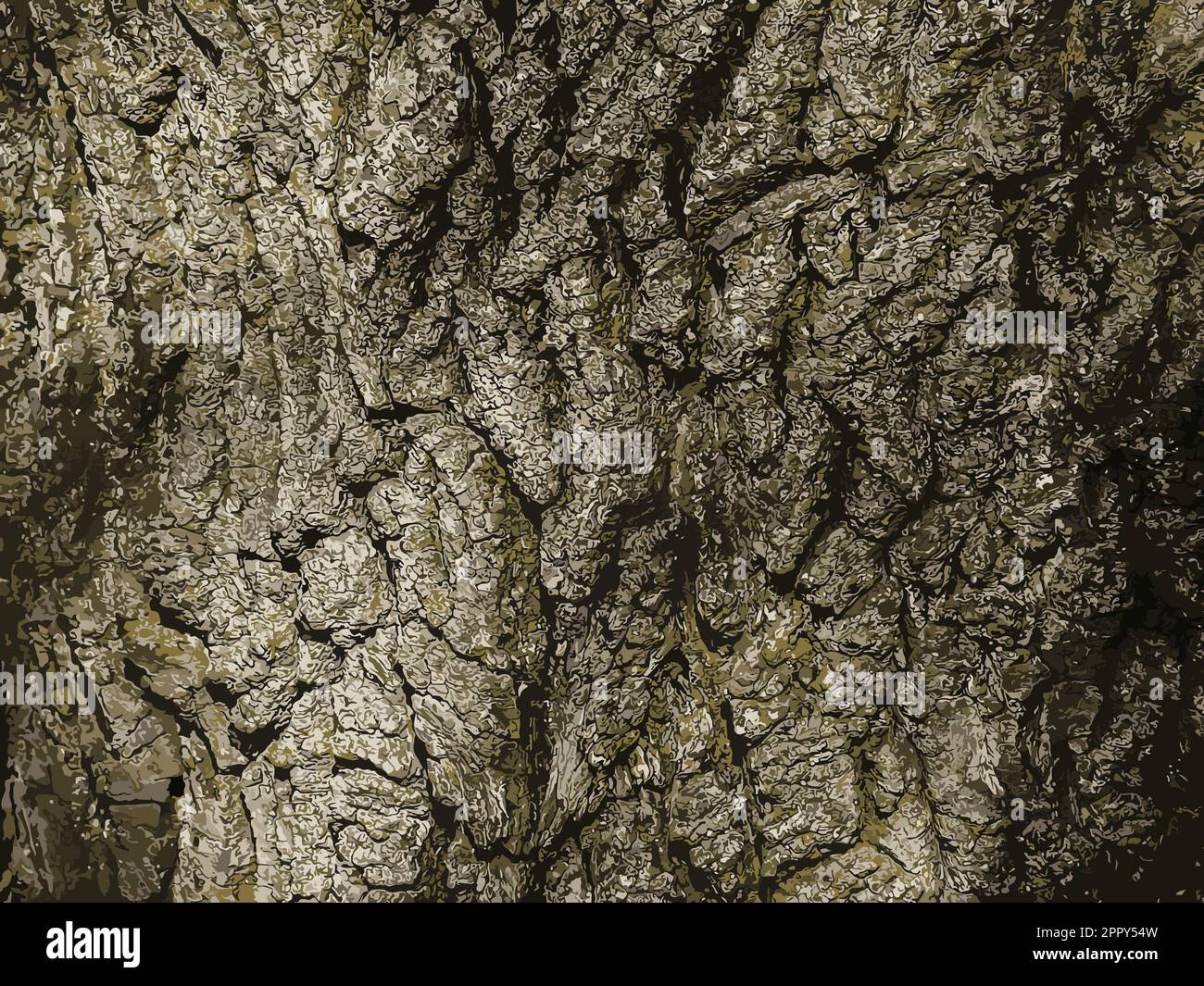 Illustration of Background of Imeretian oak bark. Detail of the bark of