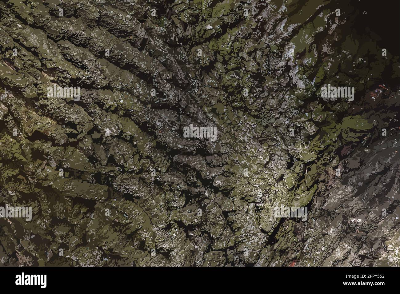 Illustration of Background of Imeretian oak bark. Detail of the bark of