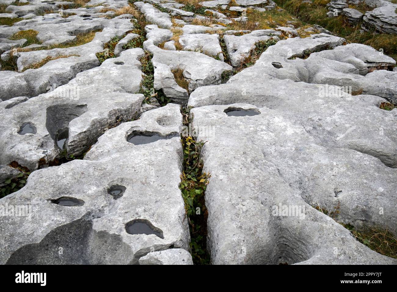 grikes (open cracks) and clints (flat rock sections) with shallow water pans eroding the limestone pavement flagstone burren national park the burren Stock Photo