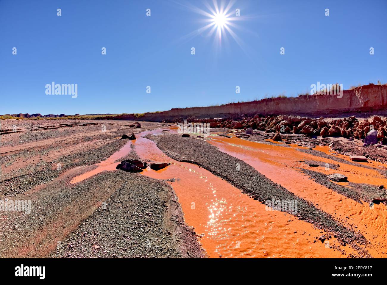 The red water of Lithodendron Wash in Petrified Forest National Park Arizona. The red color is from the bentonite clay in the surrounding hills. Stock Photo