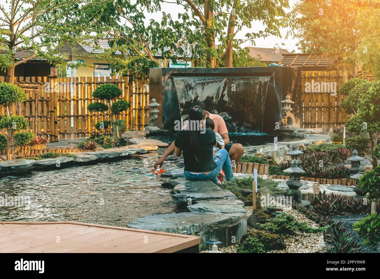 Back view of Happiness Asian family feeding koi or fancy