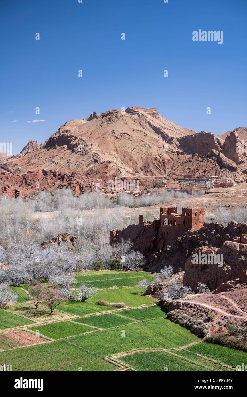Landscape in the Dades valley with the ruins of an old adobe fortress. Stock Photo