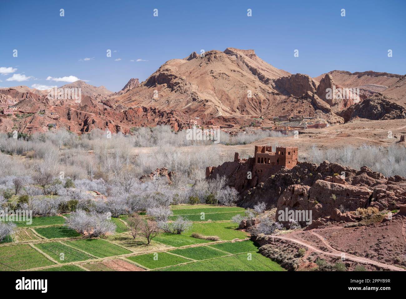 Landscape in the Dades valley with the ruins of an old adobe fortress. Stock Photo