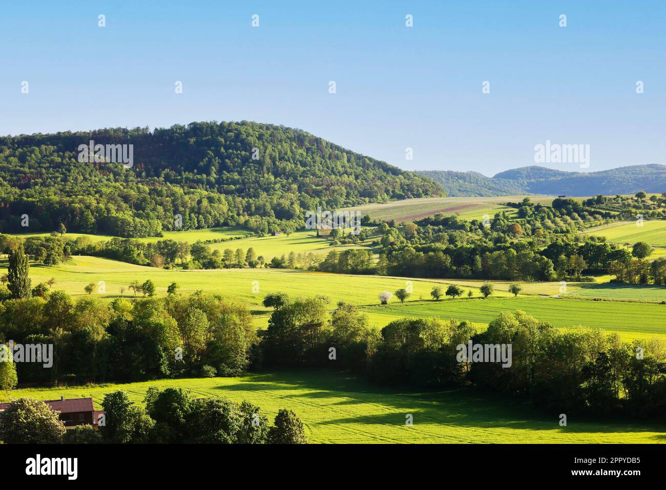 Landscape in Hohenlohe near Michelbach am Wald, Baden-Württemberg, Germany, Europe. Stock Photo