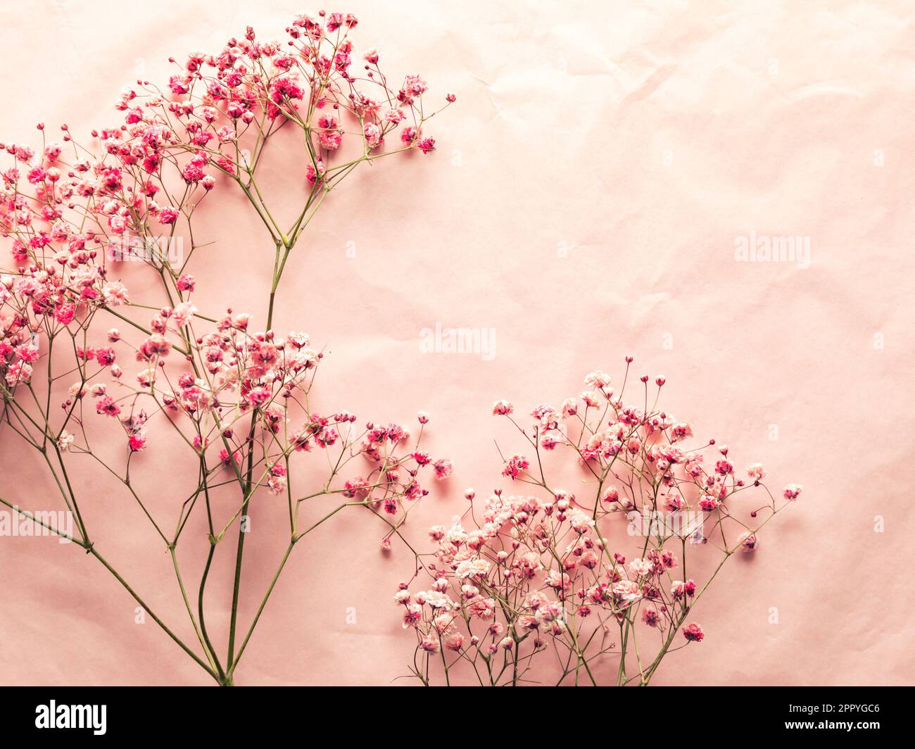 Floral background for graphic design. Mockup Stock Photo