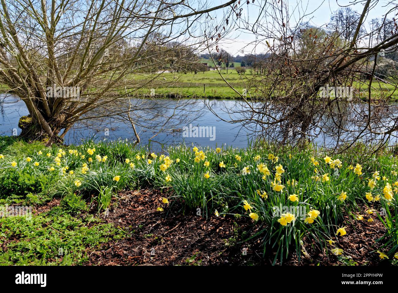 English spring landscape with River Avon (Bristol Avon) at Upper Woodford near Salisbury in Southern England, United Kingdom Stock Photo