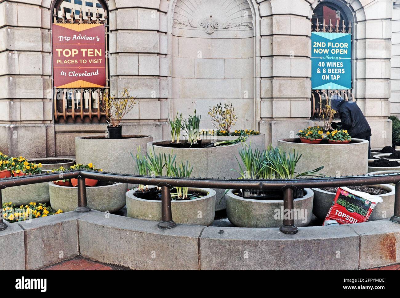 A man works on planting spring flowers outside the downtown Cleveland Heinen's Beaux Arts Building on the corner of East 9th and Euclid Ave. Stock Photo