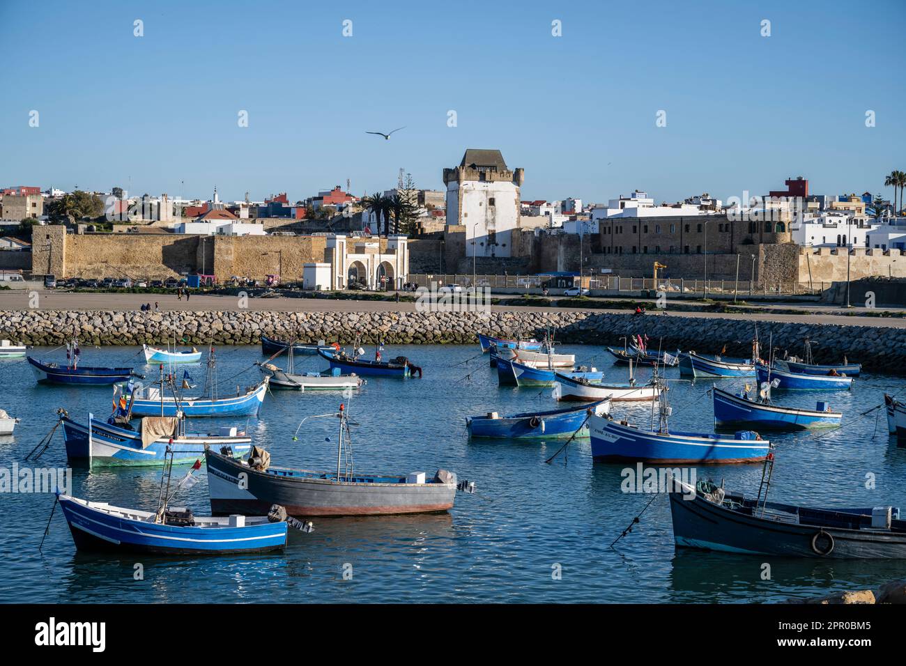 Blue fishing boats anchored in the port of Asilah. Stock Photo