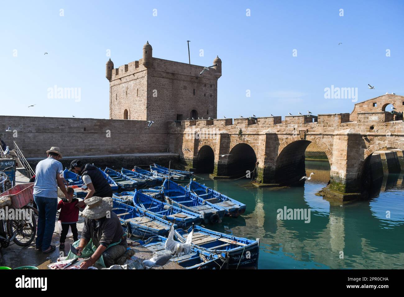 Essaouira, fish Market and blue barges Stock Photo Alamy