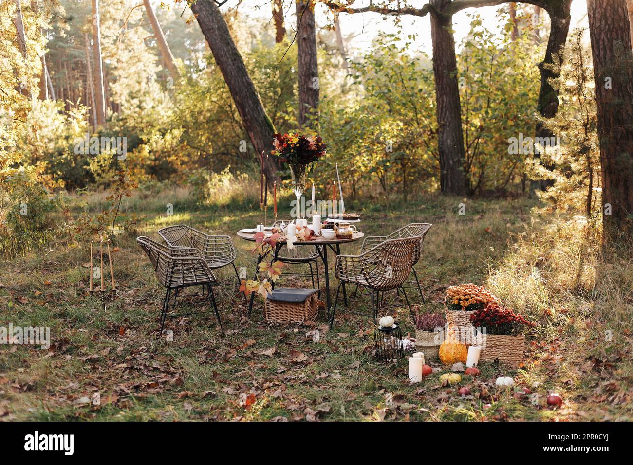 Cozy autumn picnic in the park. Close up of table setting with white