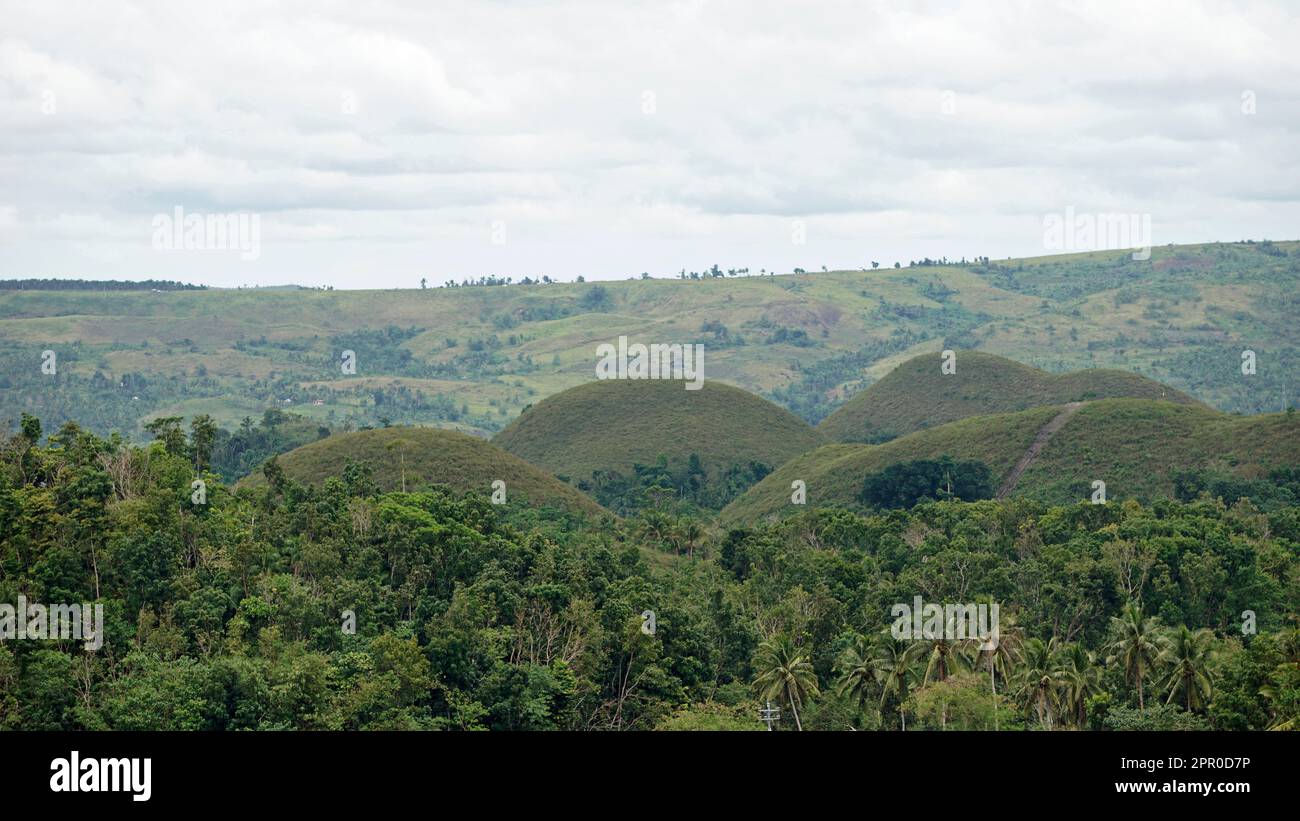 the chocolate hills of bohol on the philippines change their color to