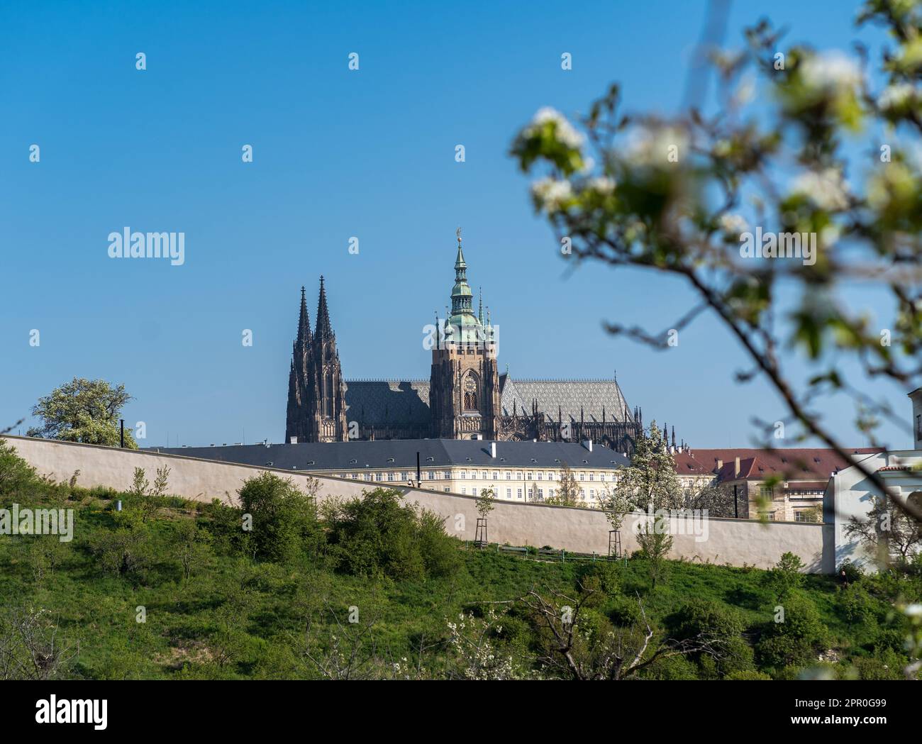 View of St. Vitus Cathedral from Petrin cherry orchards in spring Stock ...