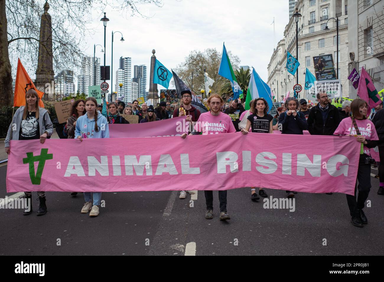 Activist group 'Animal Rising' march towards parliament on Earth Day, The Big One, Extinction Rebellion carrying a pink protest banner. London, April. Stock Photo