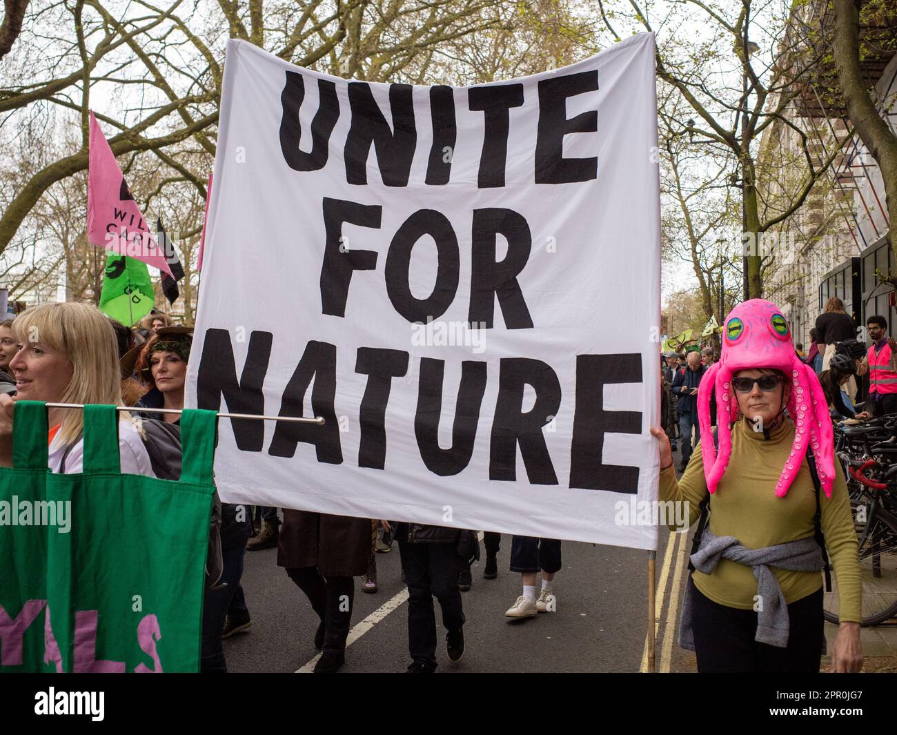 Large 'Unite for Nature' protest banner, demonstration on Earth Day 2023, London, Extinction Rebellion ' The Big One' weekend of protests Westminster Stock Photo