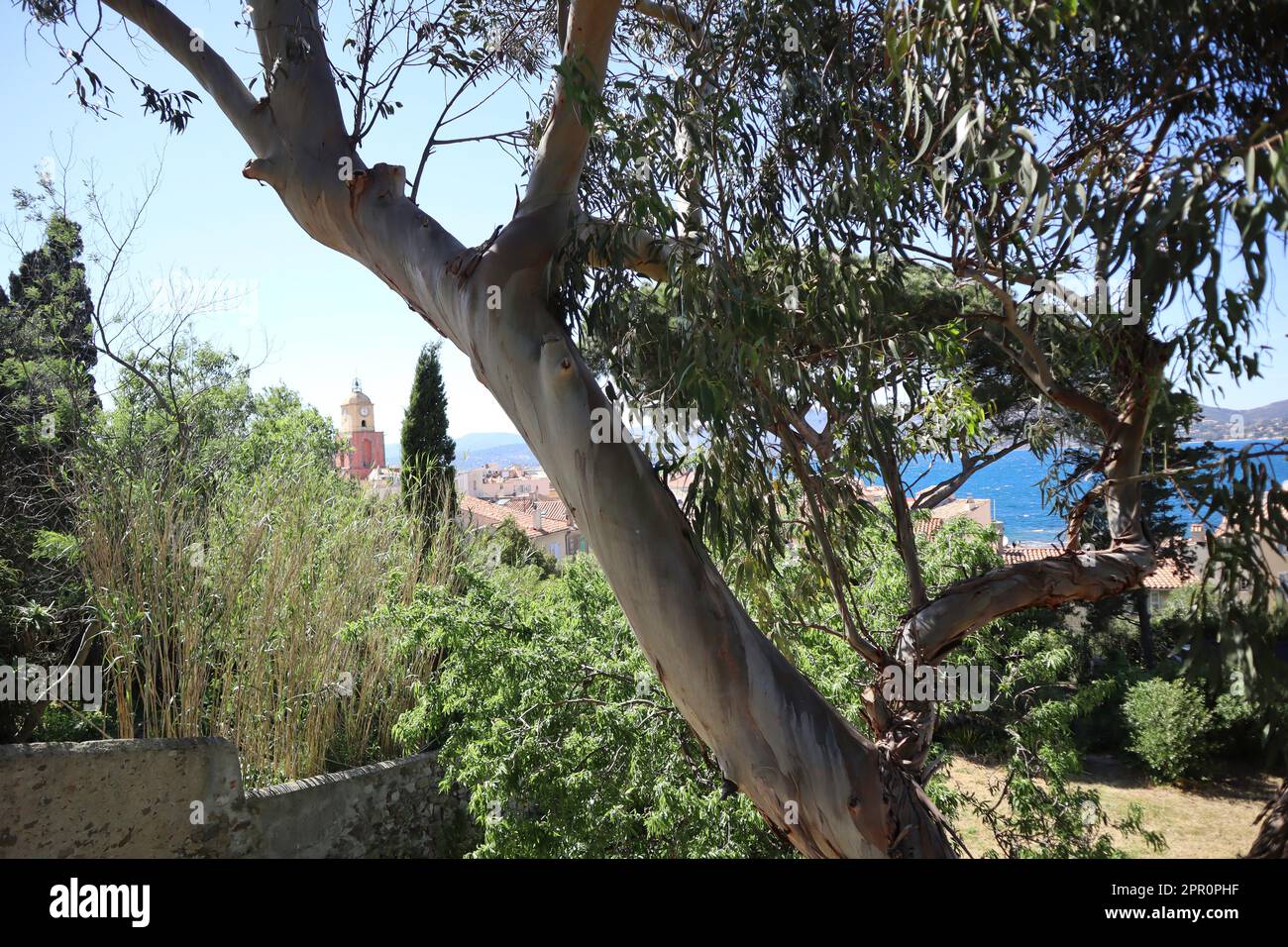 April 25th 2023, SaintTropez, France. Weather, in bright sunshine, the