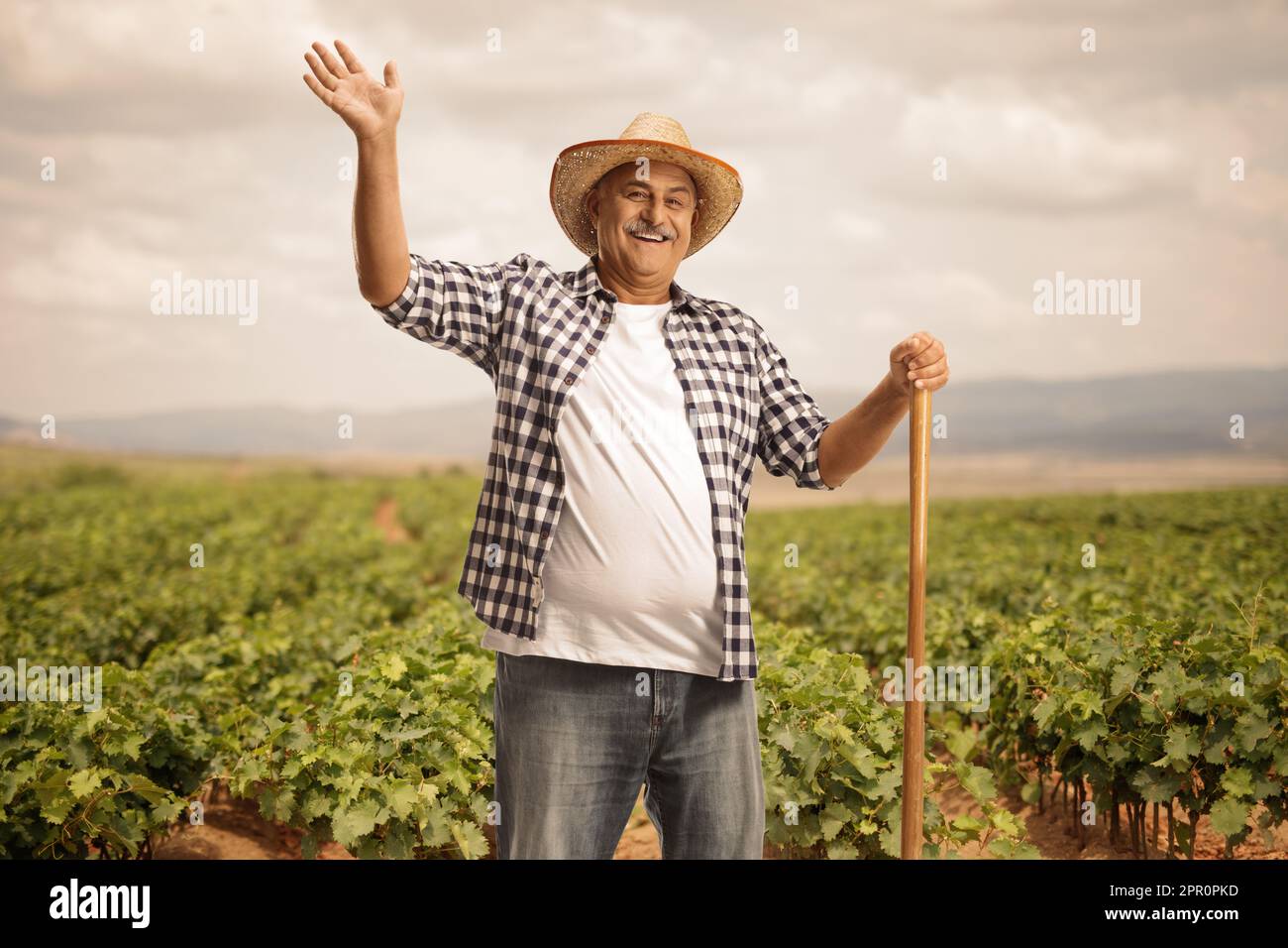 Mature farmer with a shovel greeting from a grapevine field Stock Photo ...