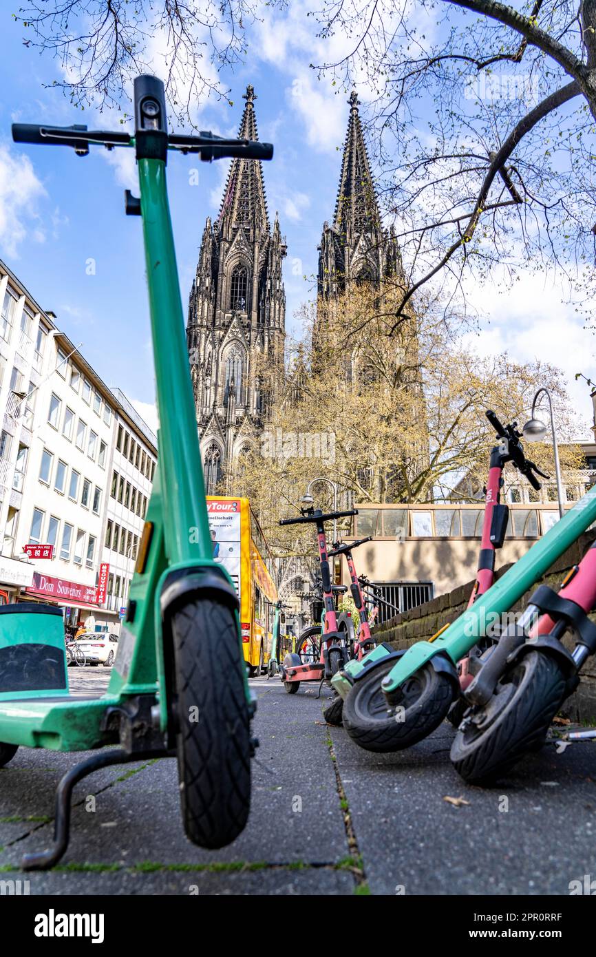 Electric scooters, escooters are parked in large numbers, on the