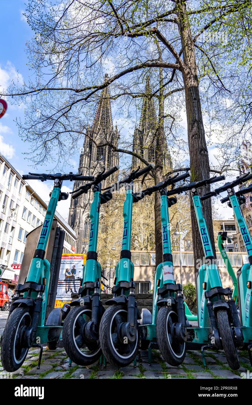 Electric scooters, escooters are parked in large numbers, on the
