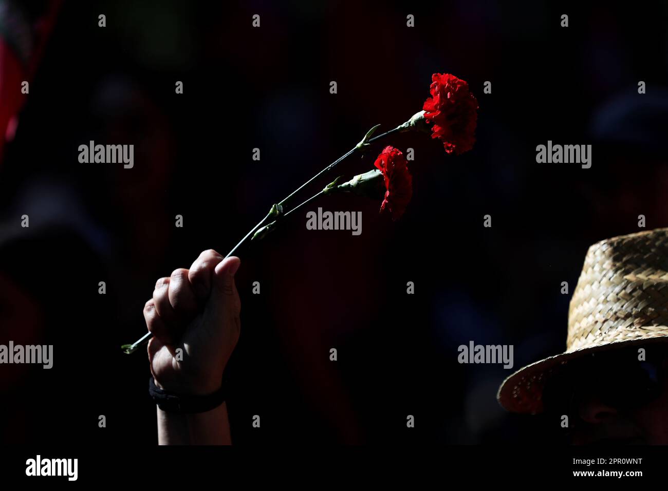 Lisbon, Portugal. 25th Apr, 2023. A demonstrator holds a red carnation, symbol of the Portuguese
