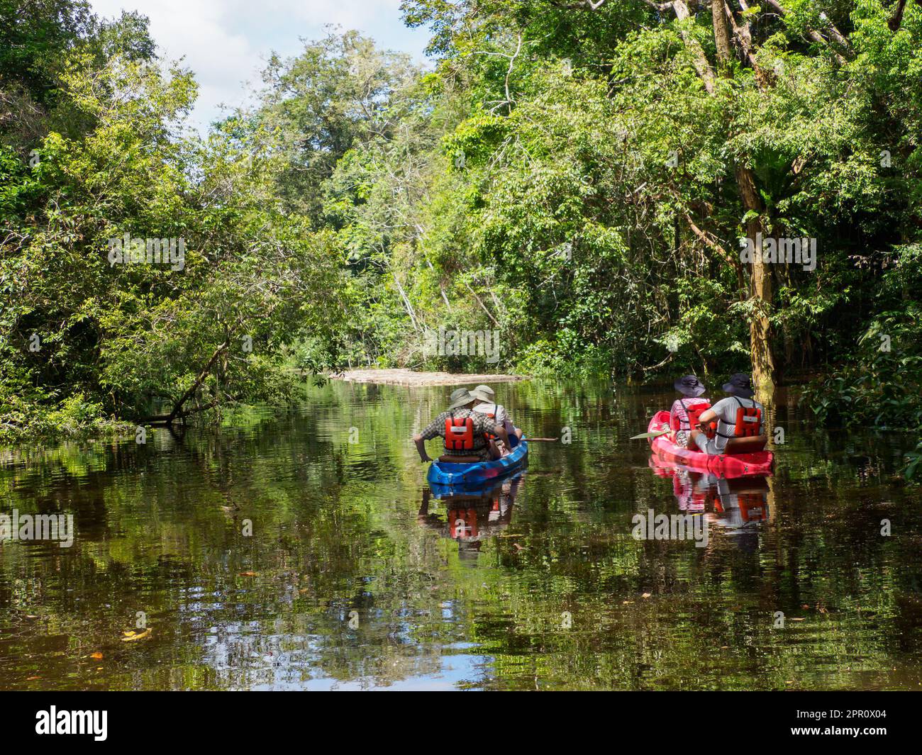 Pacaya samiria national reserve cruise hires stock photography and