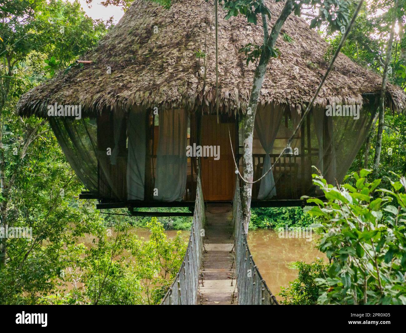 Glamping accommodation in the Amazon rainforest. Wooden treehouse , Amazon Rainforest, Amazonia, Pacaya Samiria National Reserve, Peru, South America. Stock Photo