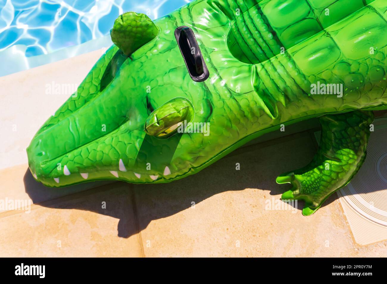 Inflatable crocodile swimming pool hi-res stock photography and images -  Alamy