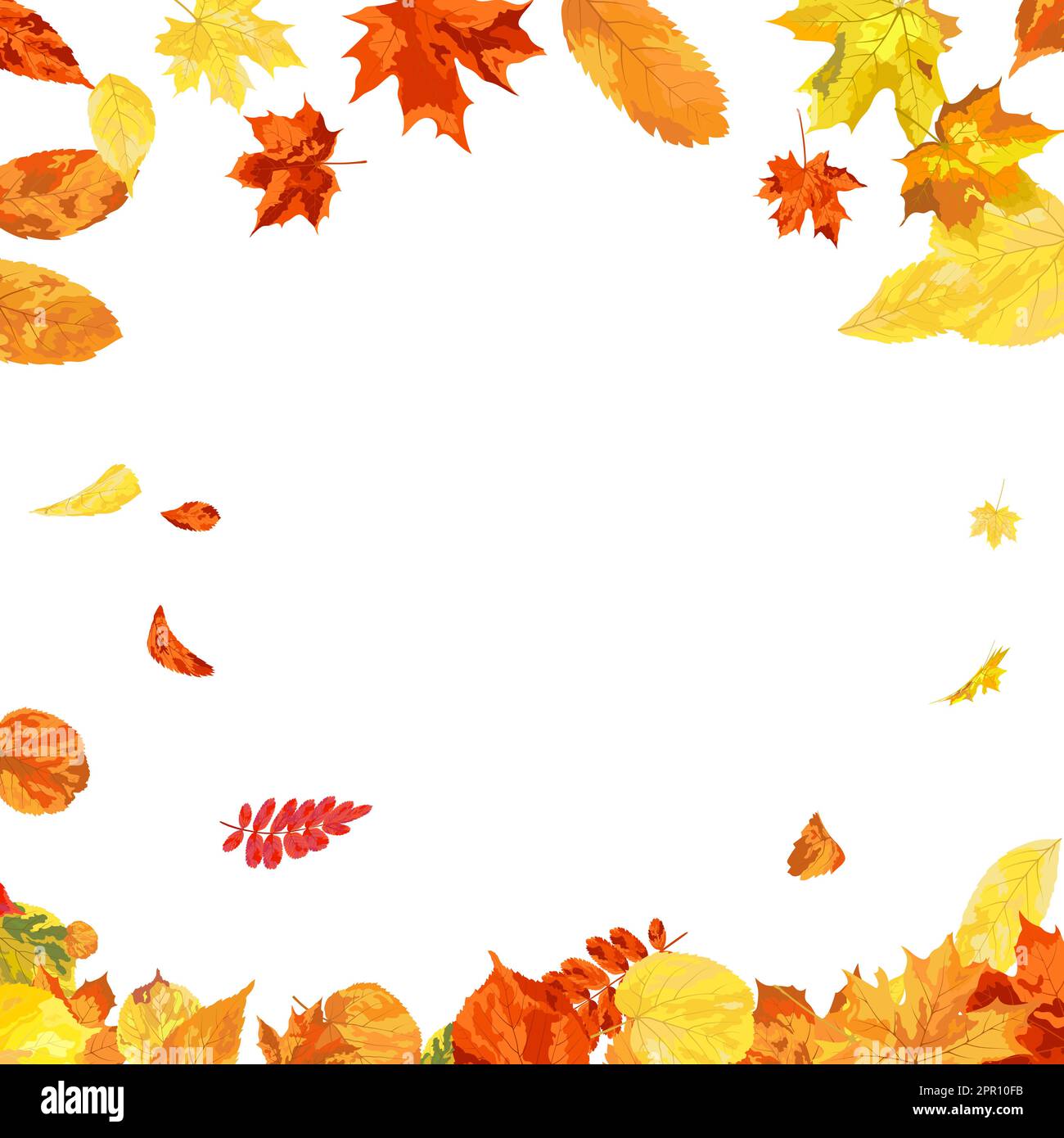 Autumn Leaves Background Stock Vector Image & Art - Alamy
