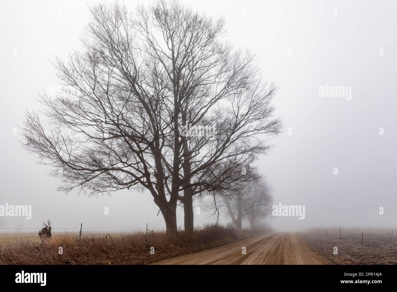 Sandy road through Amish farmland in Central Michigan, USA Stock Photo